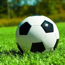 多平台下载支持